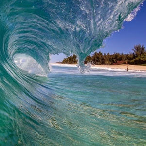 Meet your Posher, Tony